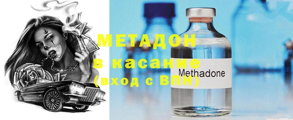 прущие грибы Михайловка
