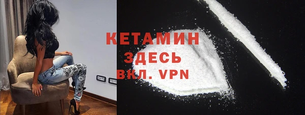 прущие грибы Михайловка