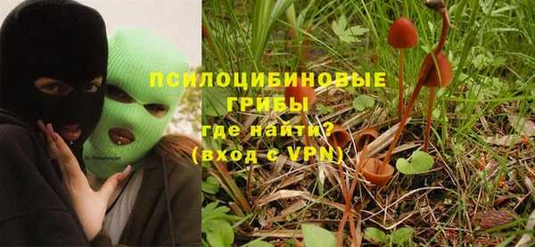 винт Медвежьегорск