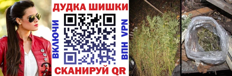 Бошки Шишки планчик  Новоузенск 